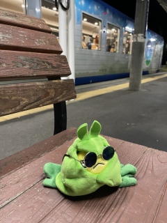 �[��̃n�C���[��